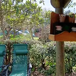 民宿 Nel Bosco Sulla Via Francigena 蒙特里久尼