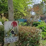 Nel Bosco Sulla Via Francigena *