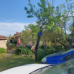 Nel Bosco Sulla Via Francigena 蒙特里久尼