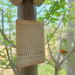 Nel Bosco Sulla Via Francigena *