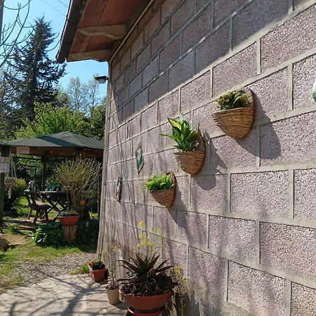 Nel Bosco Sulla Via Francigena Homestay Monteriggioni