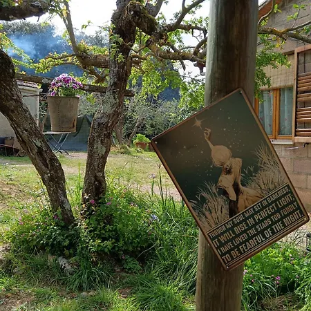 Nel Bosco Sulla Via Francigena Homestay Monteriggioni