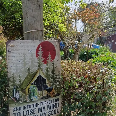 Nel Bosco Sulla Via Francigena *