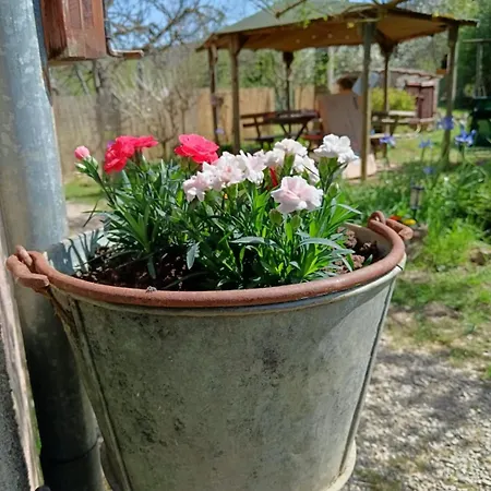 Privatunterkunft Nel Bosco Sulla Via Francigena Monteriggioni