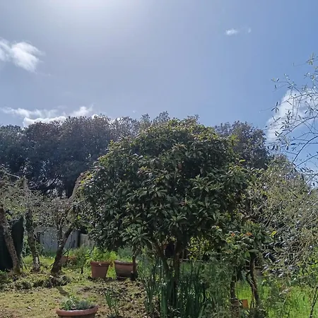 Nel Bosco Sulla Via Francigena Privatunterkunft Monteriggioni