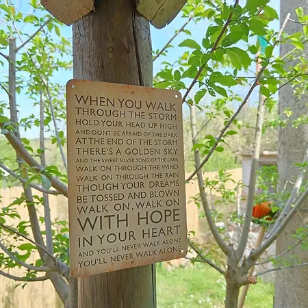 Nel Bosco Sulla Via Francigena *