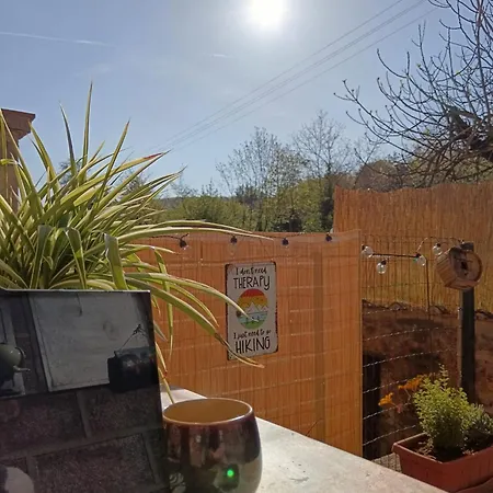 Homestay Nel Bosco Sulla Via Francigena *