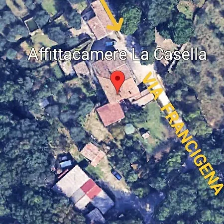 Nel Bosco Sulla Via Francigena