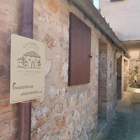 Nel Bosco Sulla Via Francigena *
